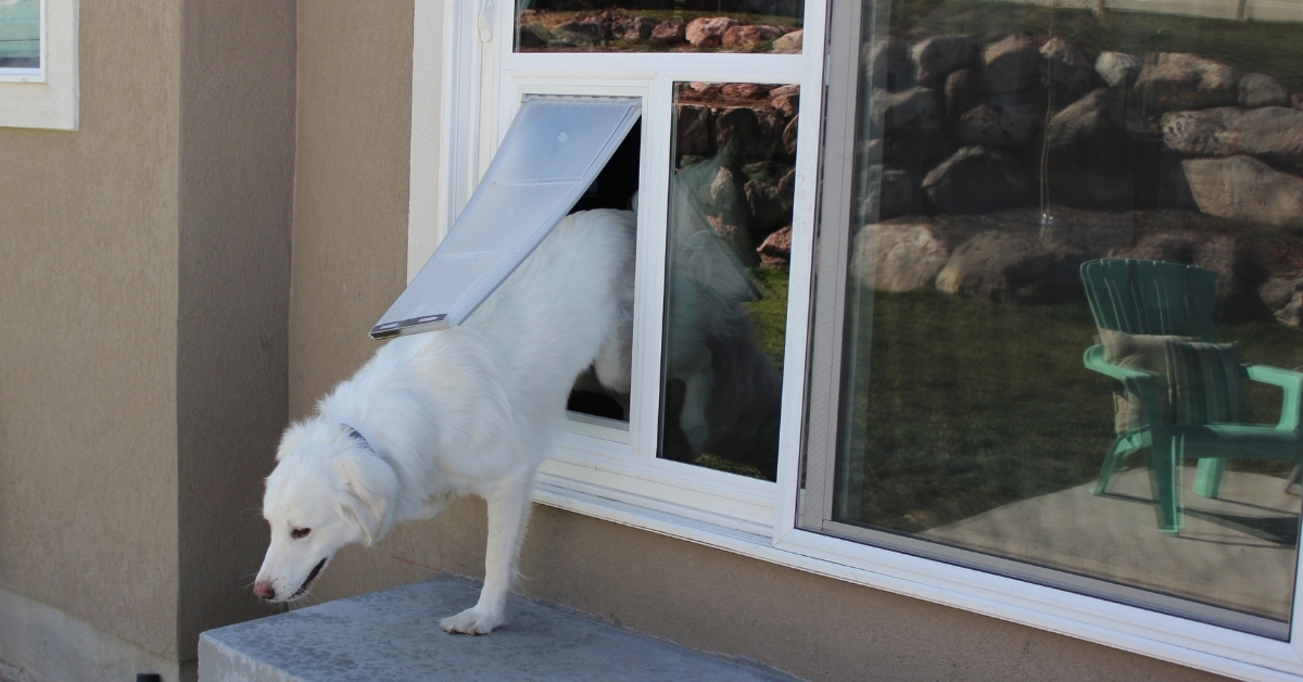Installs a <span class="highlight">Variety of Pet Doors </span>